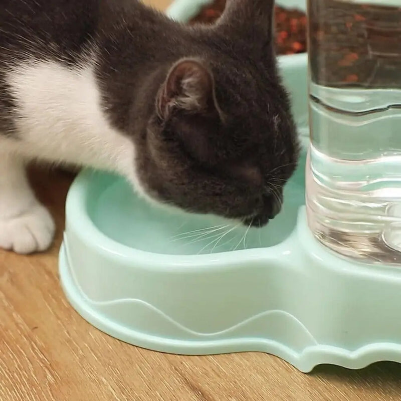 Alimentador de Pet automatico para água e Ração